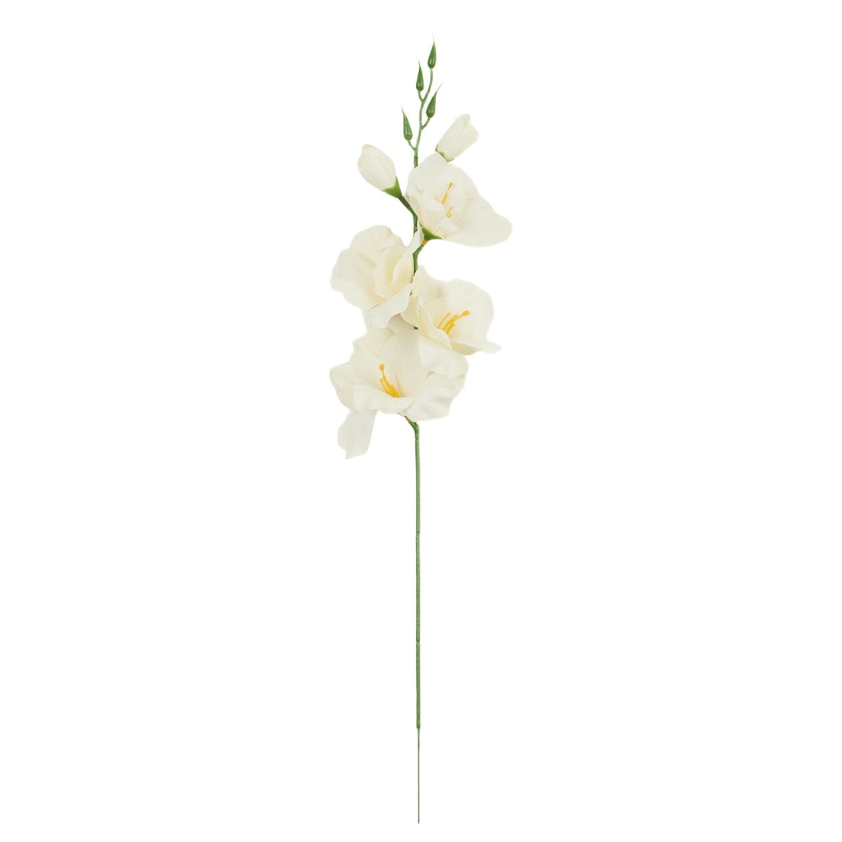 Gladiolus – tekokukka