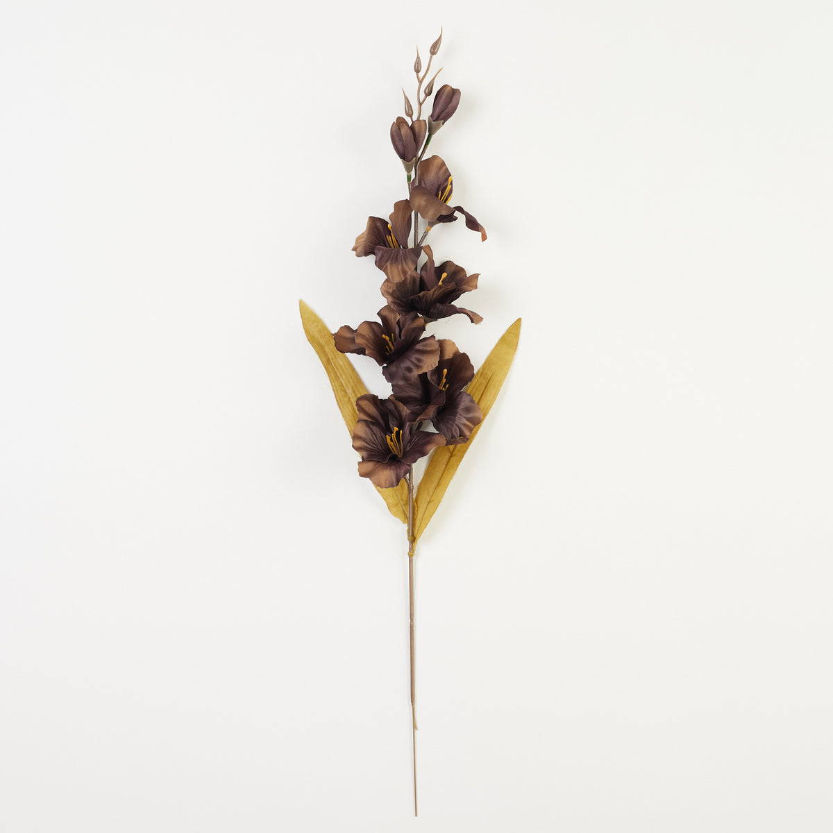 Gladiolus – tekokukka, 64 cm