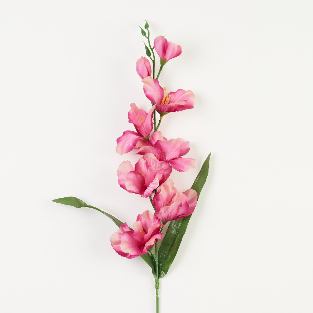Gladiolus – tekokukka, satiini