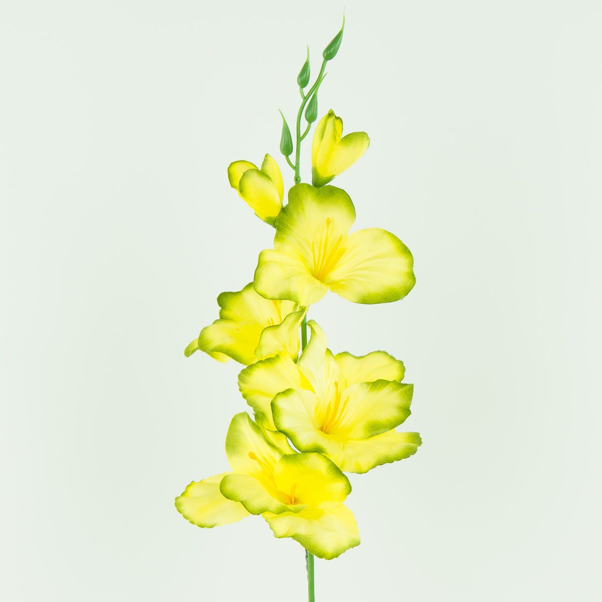 Gladiolus – tekokukka, satiini, 12 kpl