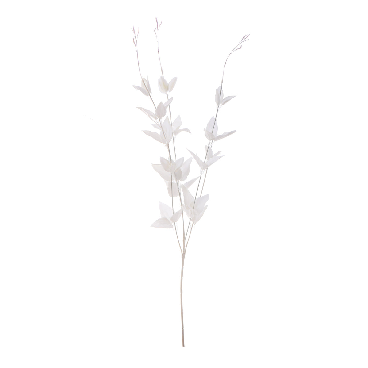 Koristeoksa, 70 cm