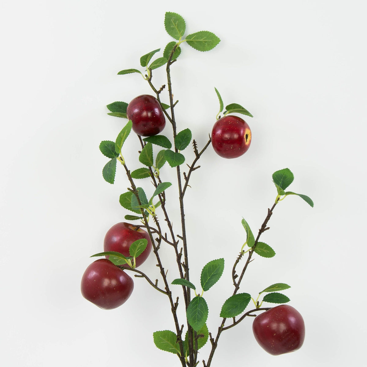 Koristeoksa, 99cm