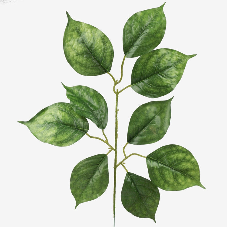 Roheline pärnaoks kunsttaim 55 cm - Kunstlilled