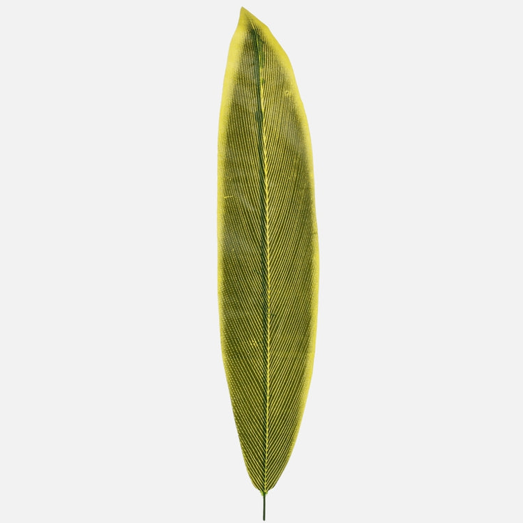 Sansevieria tehisleht rohekaskollane 61 cm - Kunstlilled