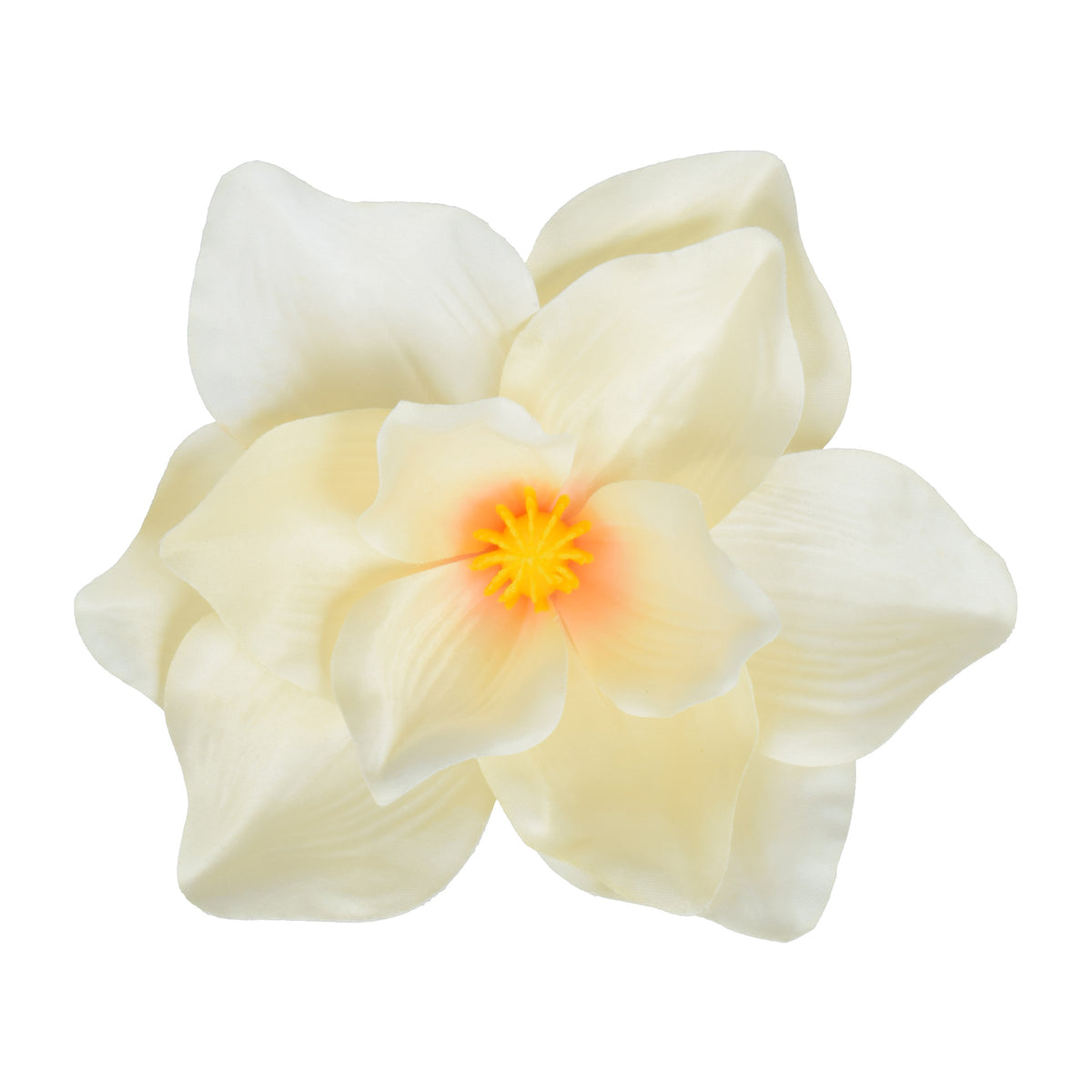 Magnolia – tekokukkapää, 7 cm