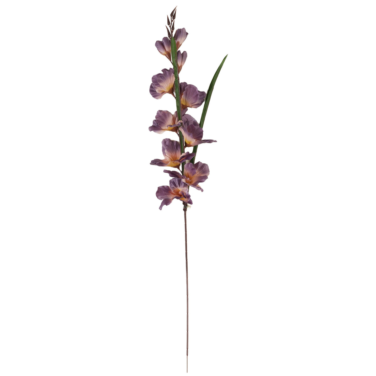 Malvanvärinen gladiolus – tekokukka, 80 cm