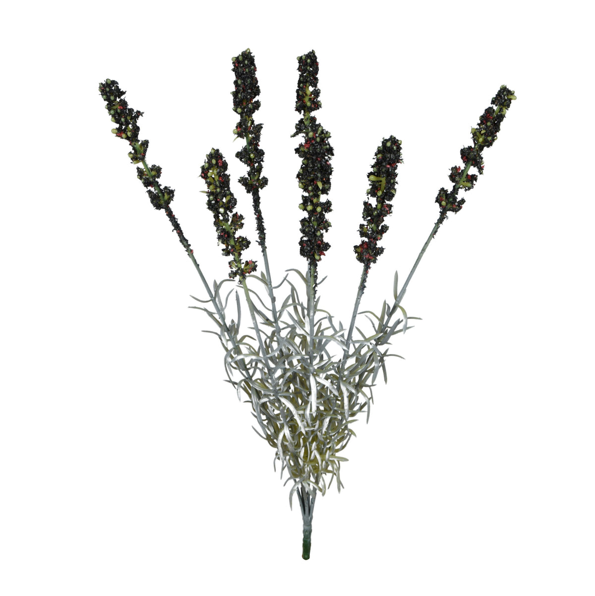 Musta tekolaventelin kimppu, 42 cm