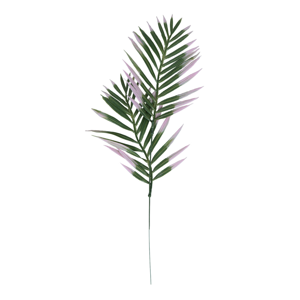 Palmu – koristeoksa, 45 cm
