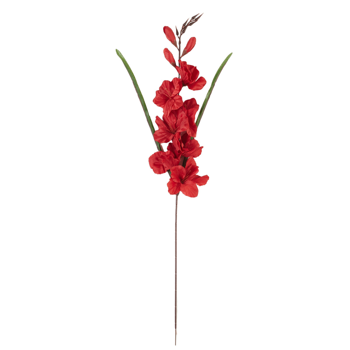 Punainen gladiolus – tekokukka