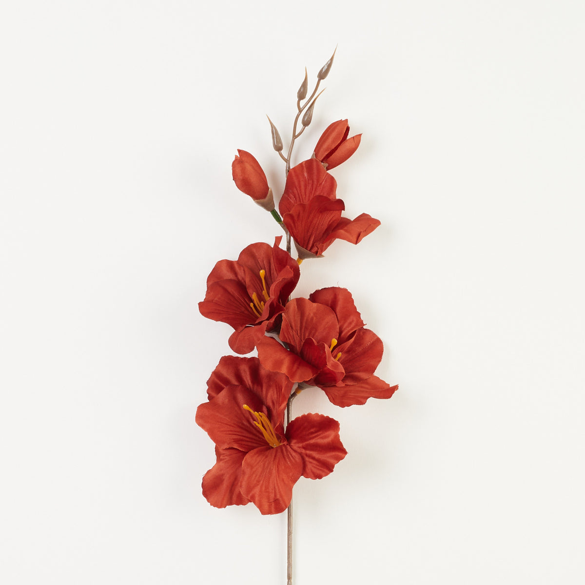Ruskea gladiolus – tekokukka, satiini, 12 kpl