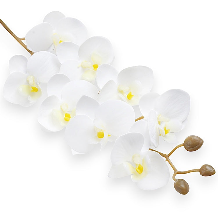 Valge orhidee kunstlill 78 cm - Kunstlilled