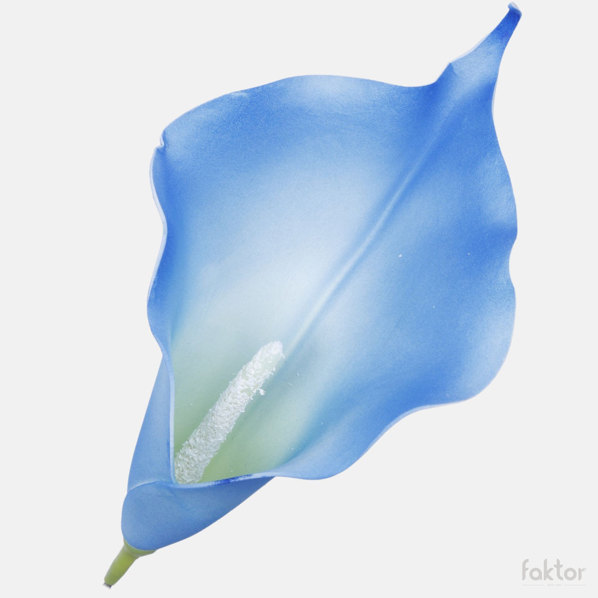 Tekokallan kukkapää, 20 cm