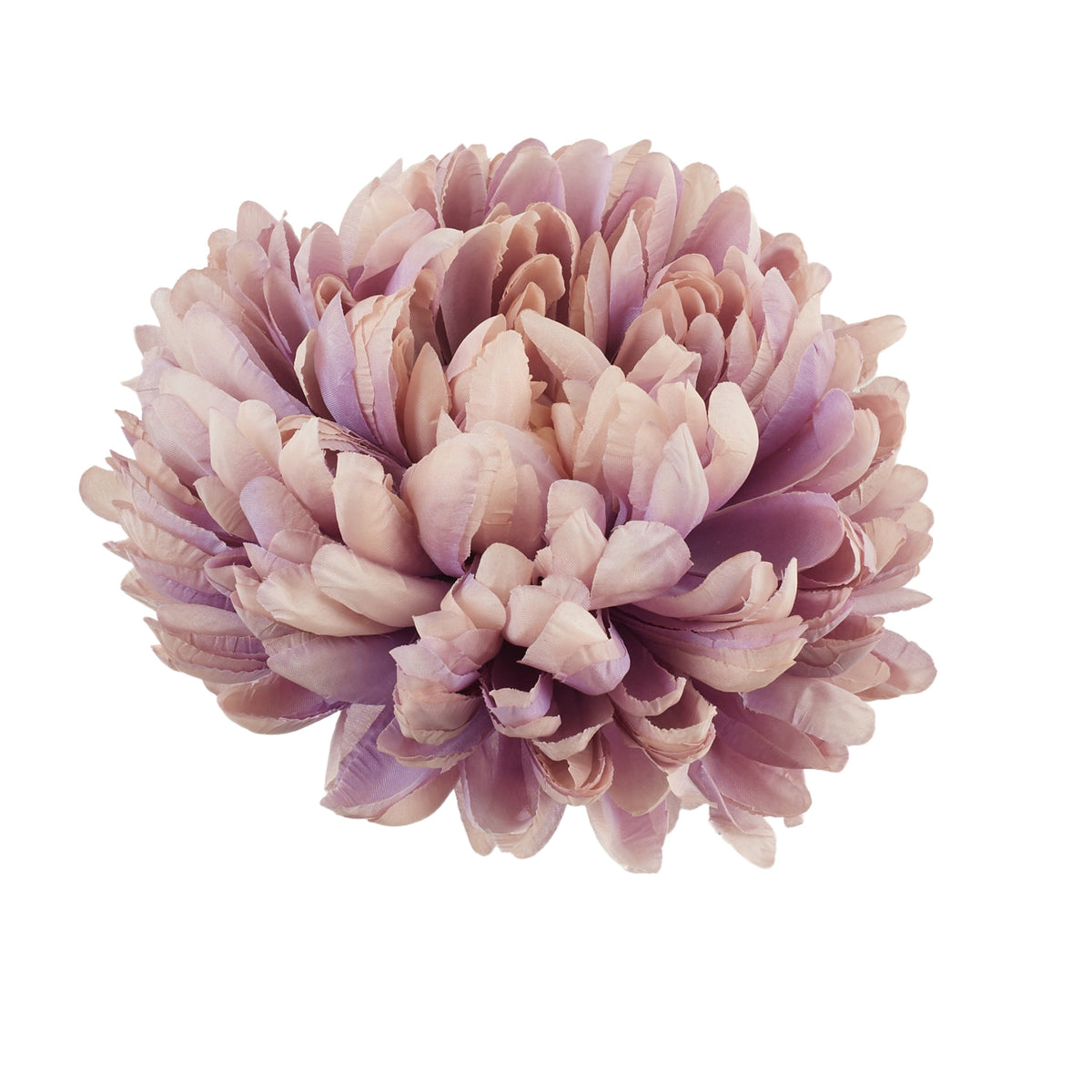 Tekokrysanteemin kukkapää