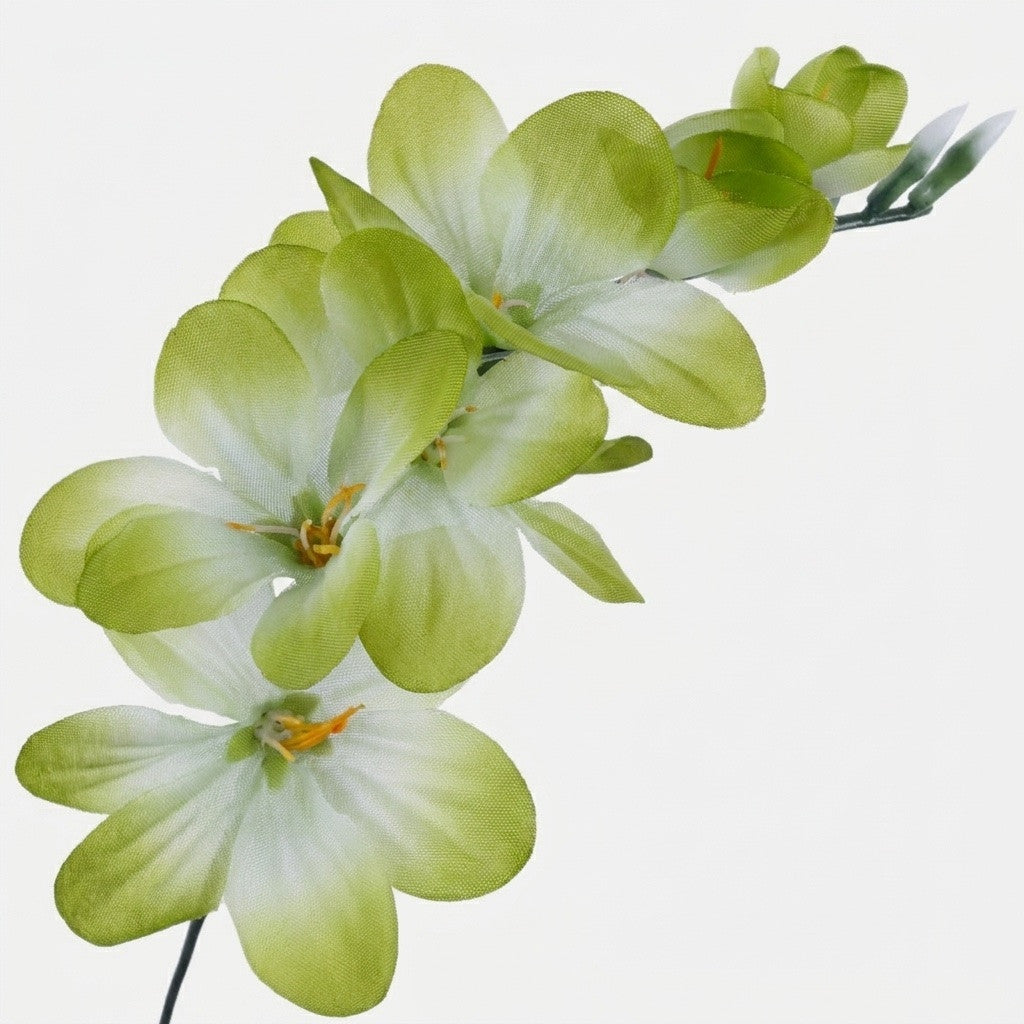 Tekokukkapää, 15 cm