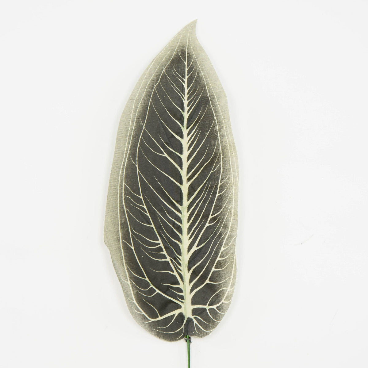 Tekolehti, 47 cm, 12 kpl