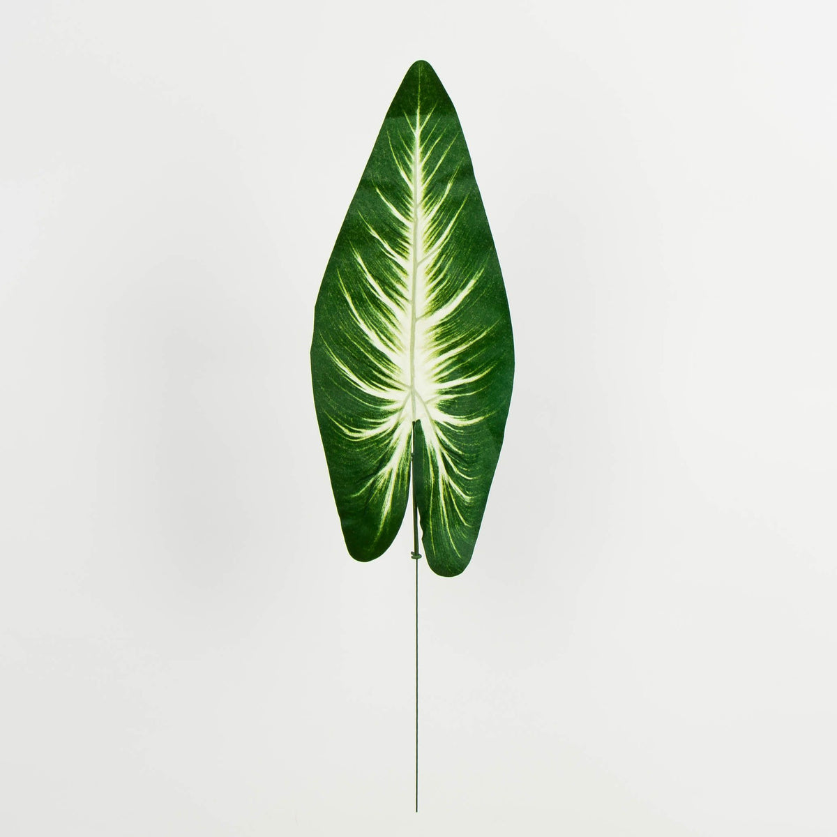 Tekolehti, 49 cm, 12 kpl