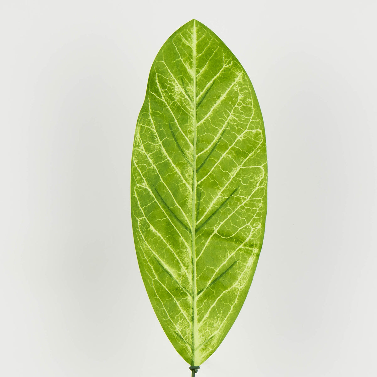 Tekolehti, 50 cm, 12 kpl