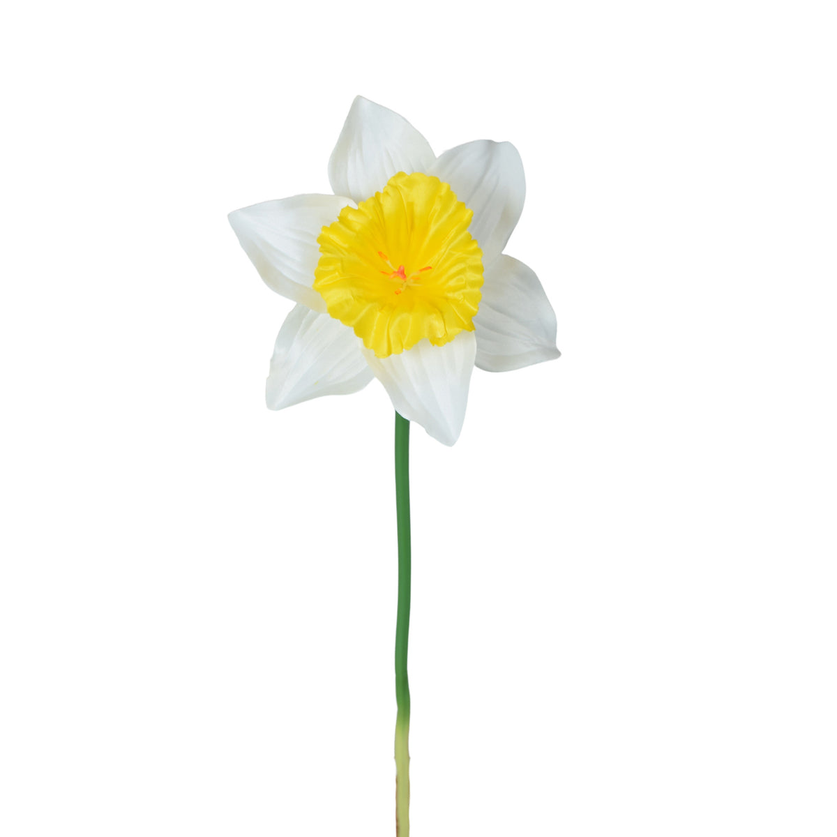 Tekonarsissin kukkavarsi, 39 cm
