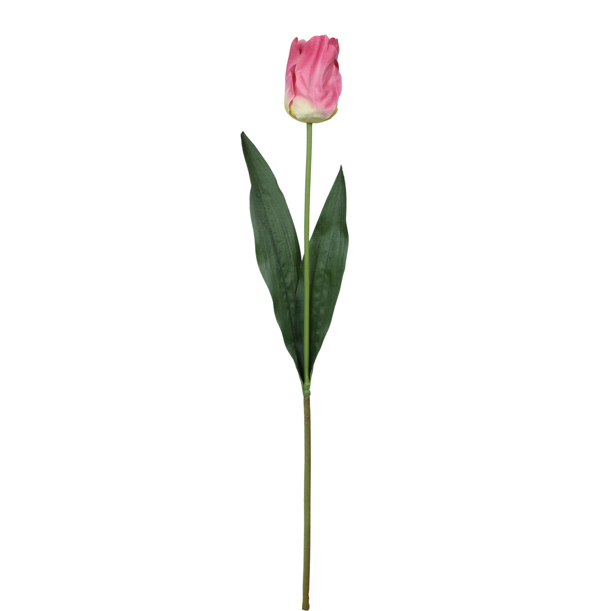 Tekotulppaanin kukkavarsi, 66 cm
