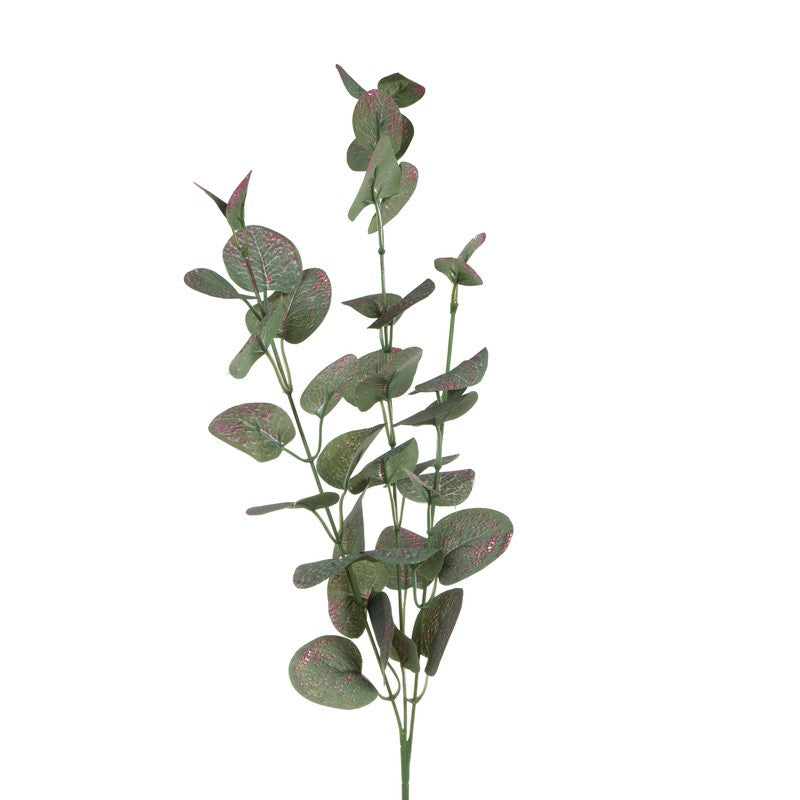 Värilajitelma eukalyptus – koristeoksa, 70 cm