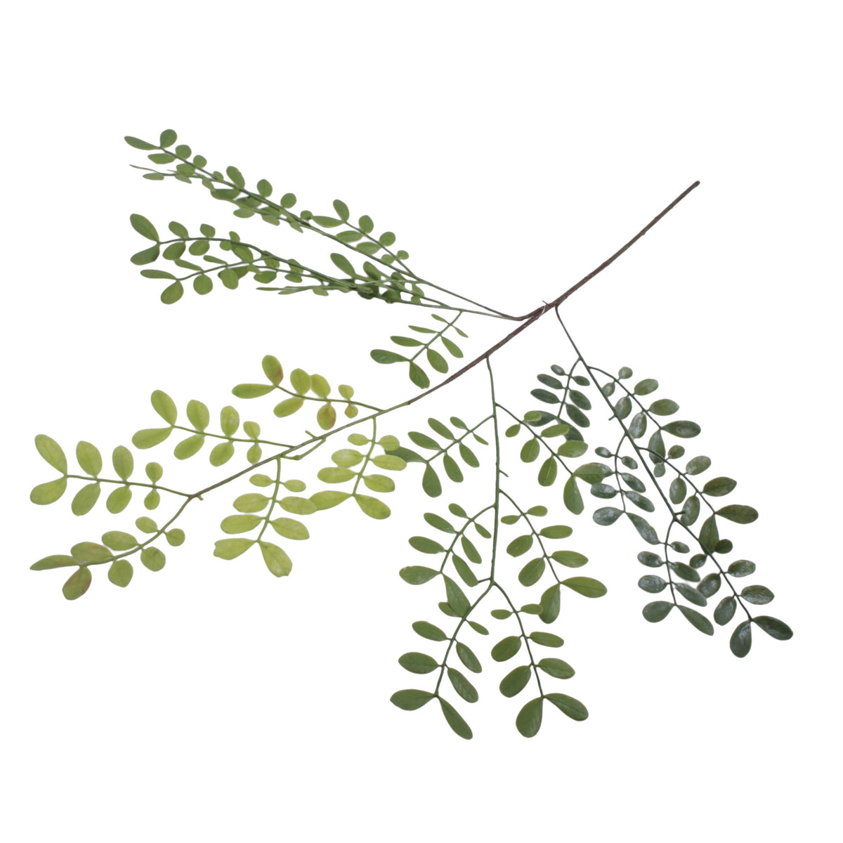 Vihreä koristeoksa, 96 cm