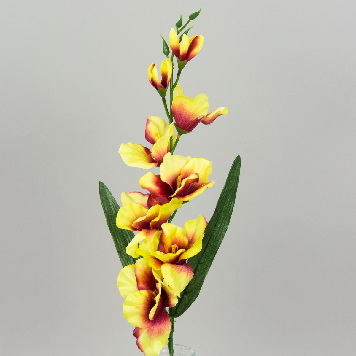 Viininpunainen/vihreä gladiolus – tekokukka, satiini