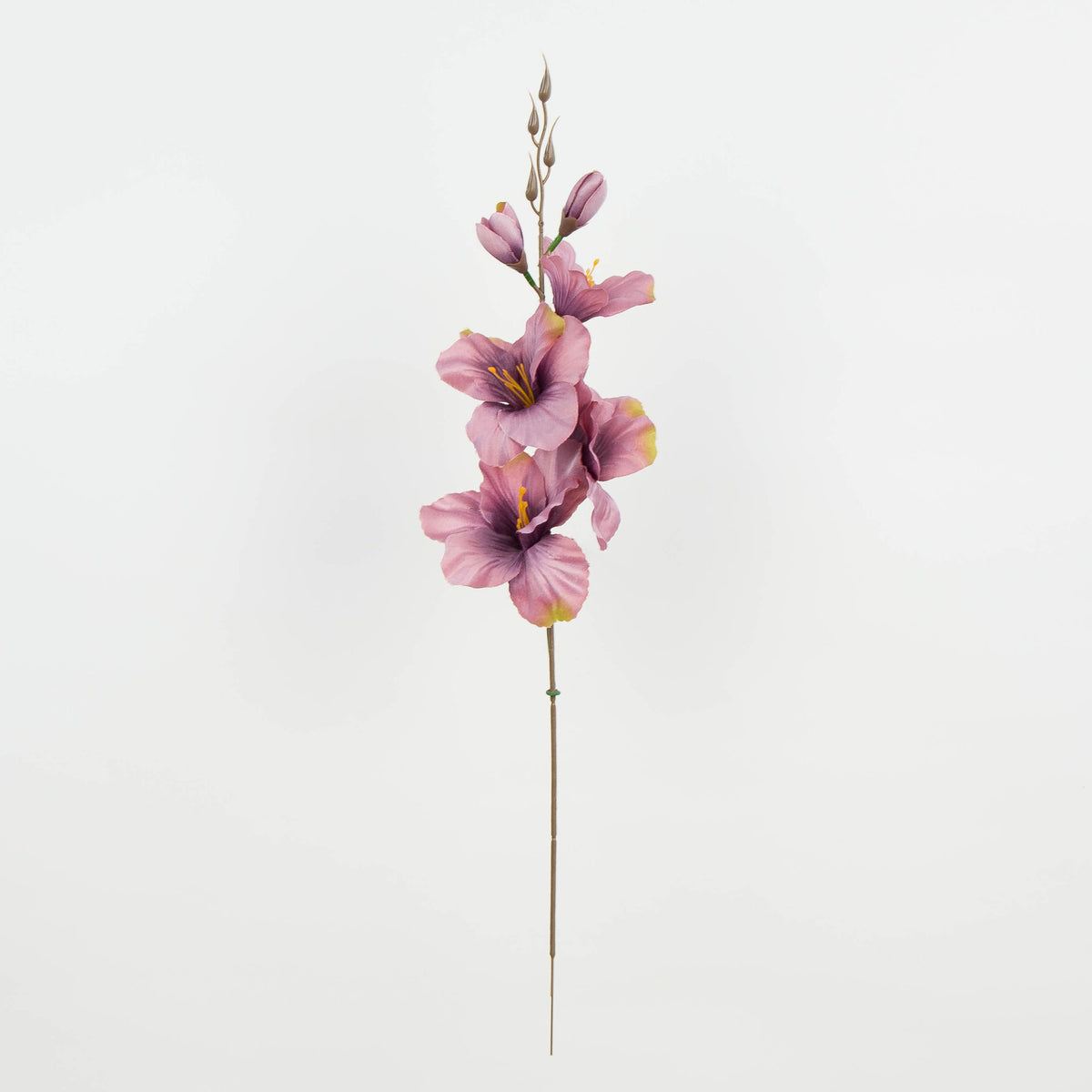 Violetti gladiolus – tekokukka, satiini, 12 kpl