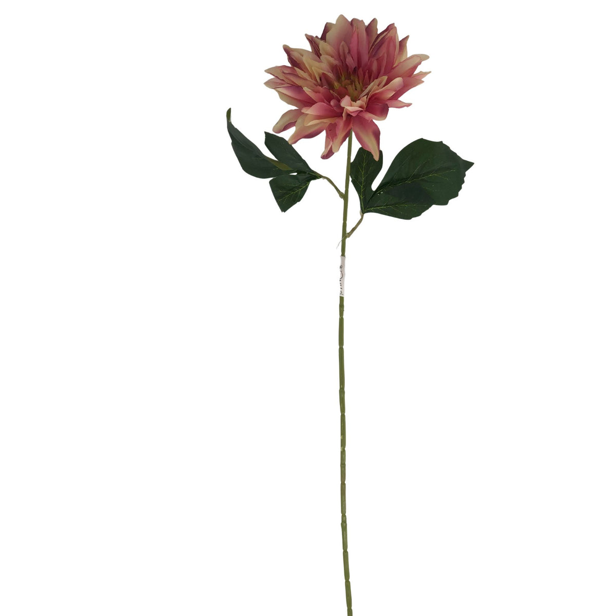 Violetti/malva tekodaalian kukkavarsi, 67 cm