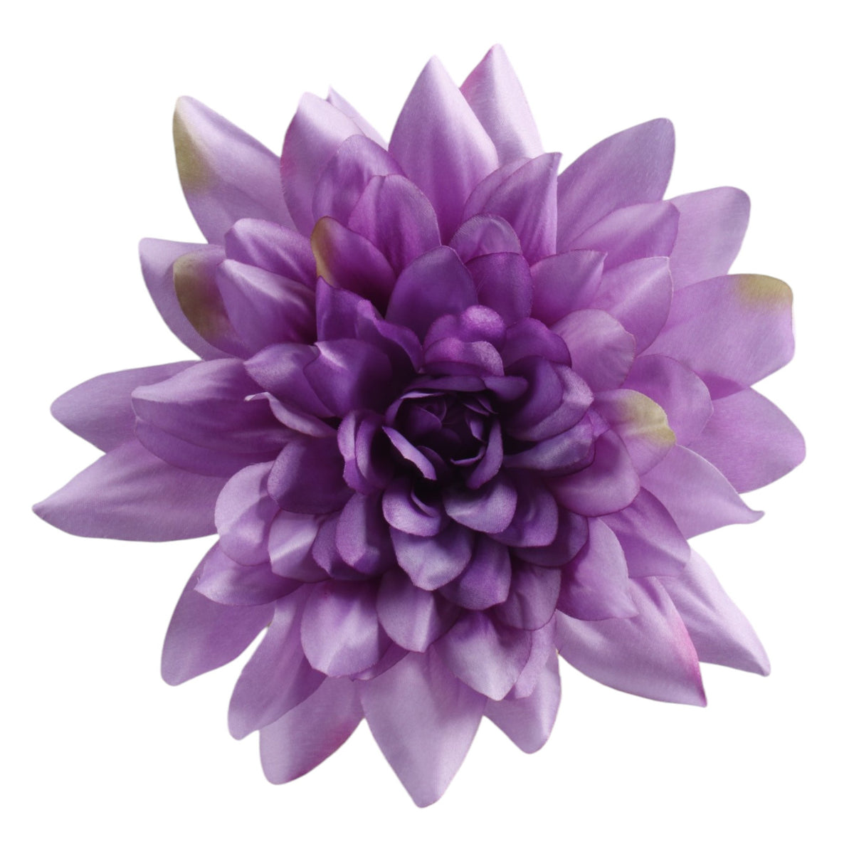 Violetti tekodaalian kukkapää, 27 cm