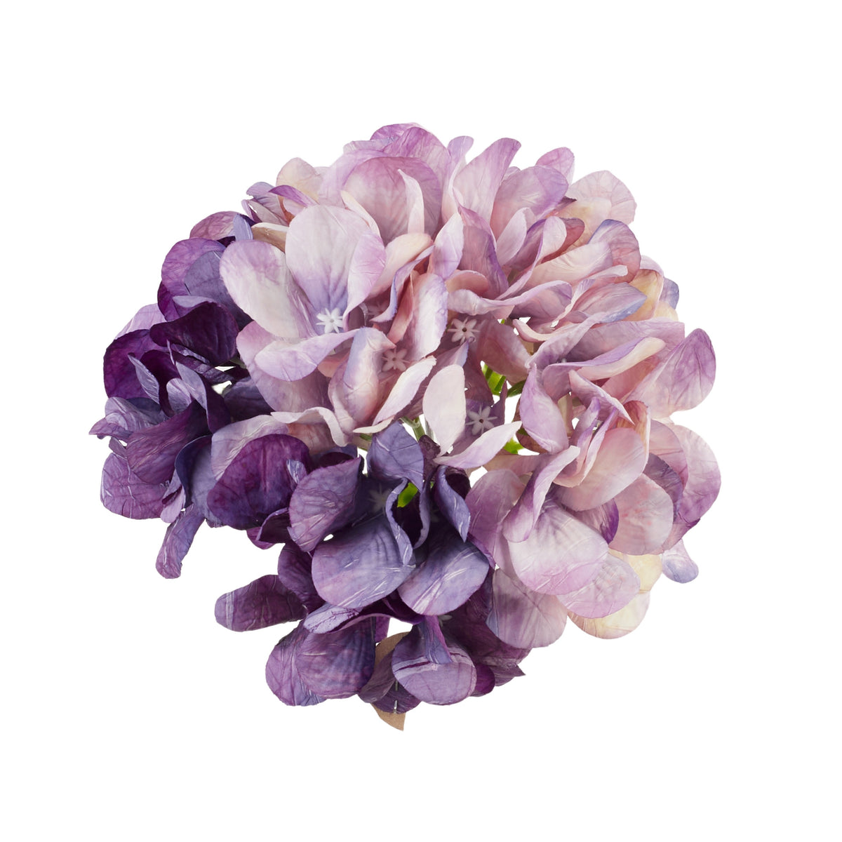 Violetti tekohortensian kukkapää, 19 cm