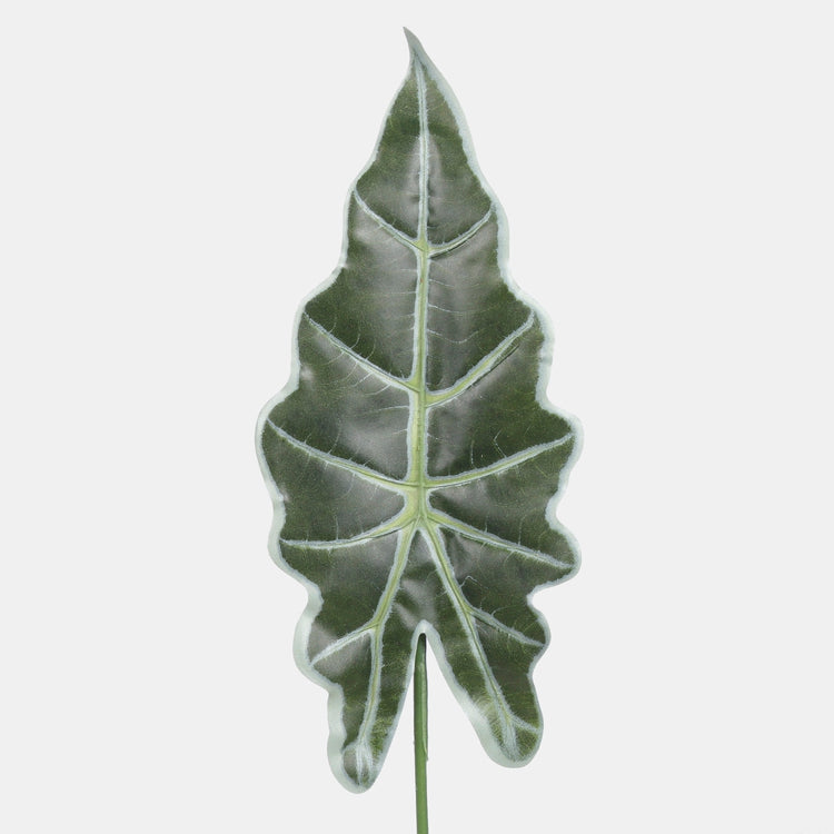 Alokasia kunstlehtroheline 56 cm - Kunstlilled