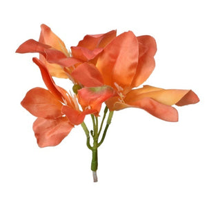 Oranž