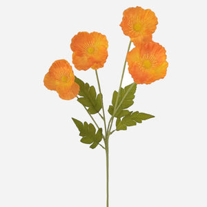 Oranž