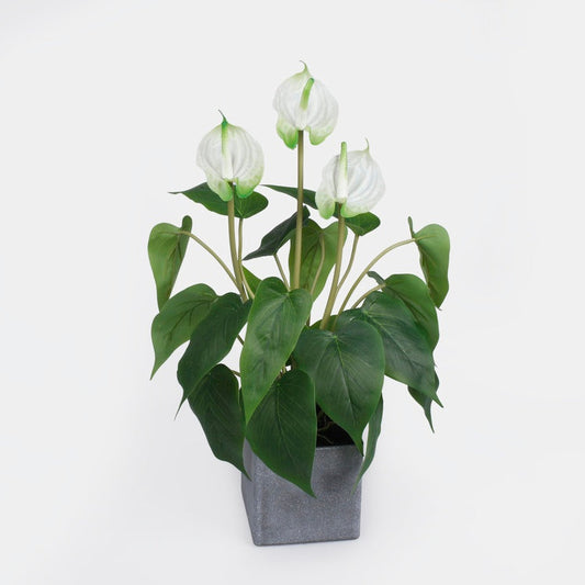 Valge antuuriumi kunsttaim potis 42 cm - Kunstlilled