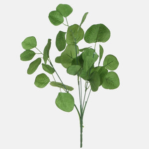 Heleroheline