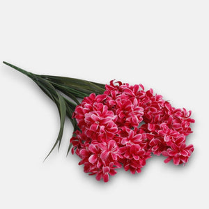 Roosa