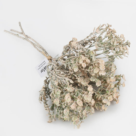 Kreemjas helichrysum kunstlillebukett 37 cm - Kunstlilled