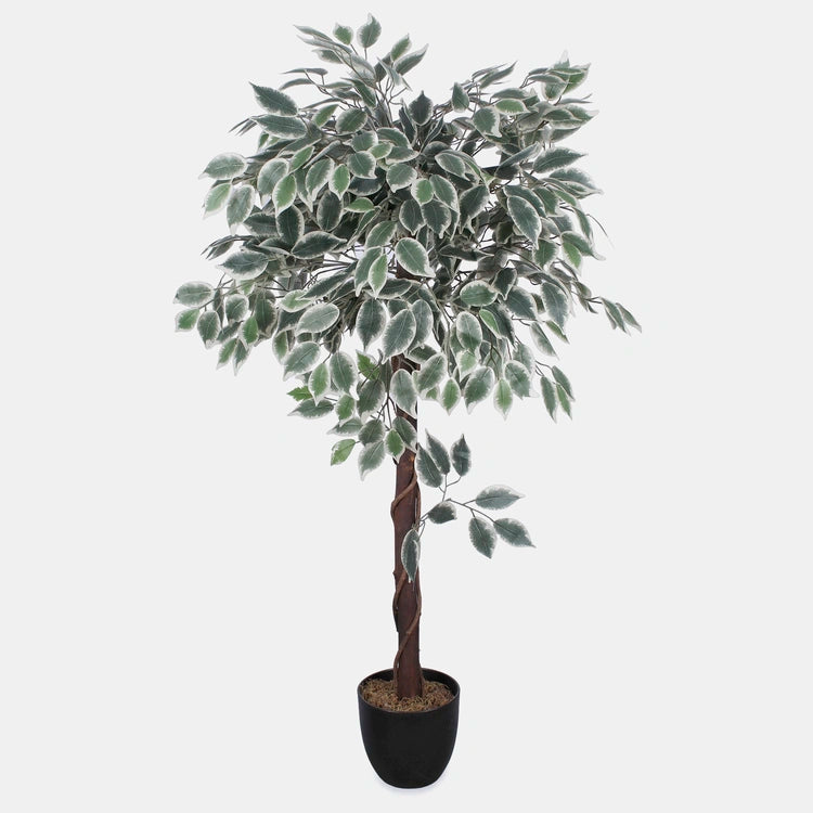 Kunstlik fikusepuu rohe-valge 120 cm - Kunstlilled