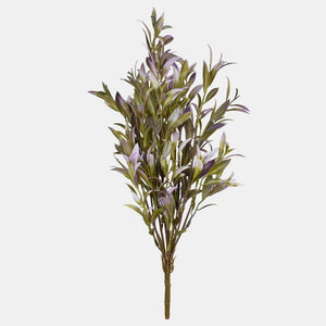 Lavendel