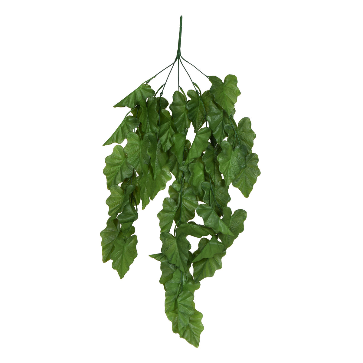 Alokasia – tekoköynnös, 78 cm