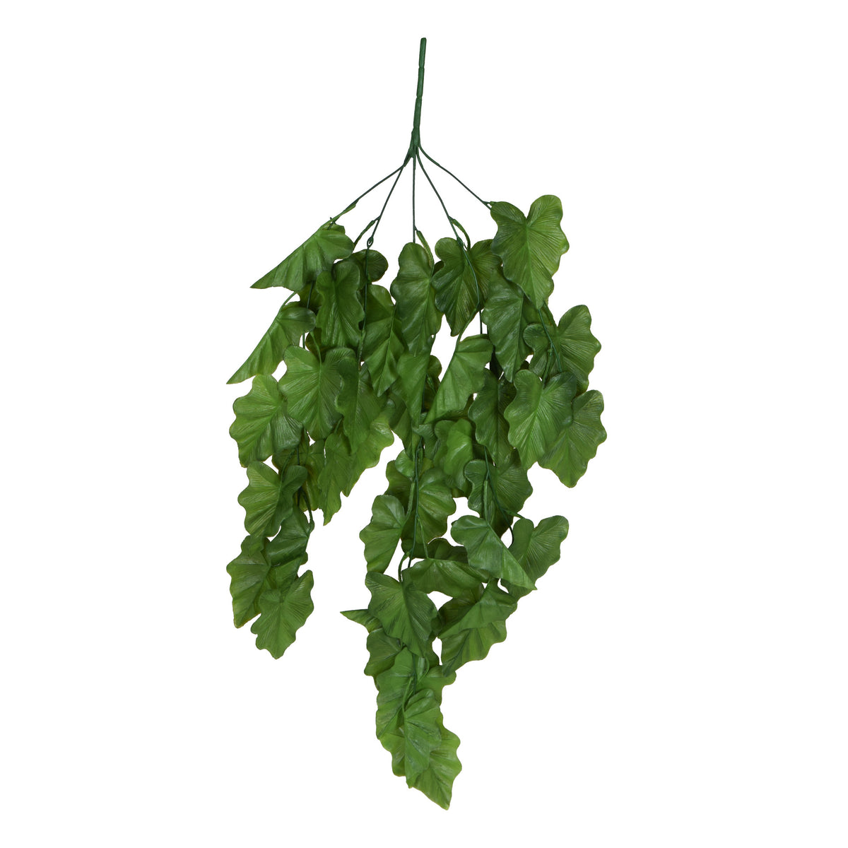 Alokasia – tekoköynnös, 78 cm