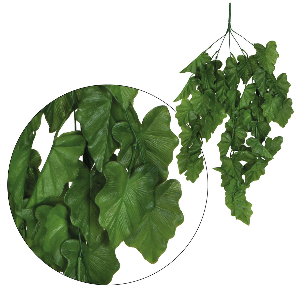 Alokasia – tekoköynnös, 78 cm