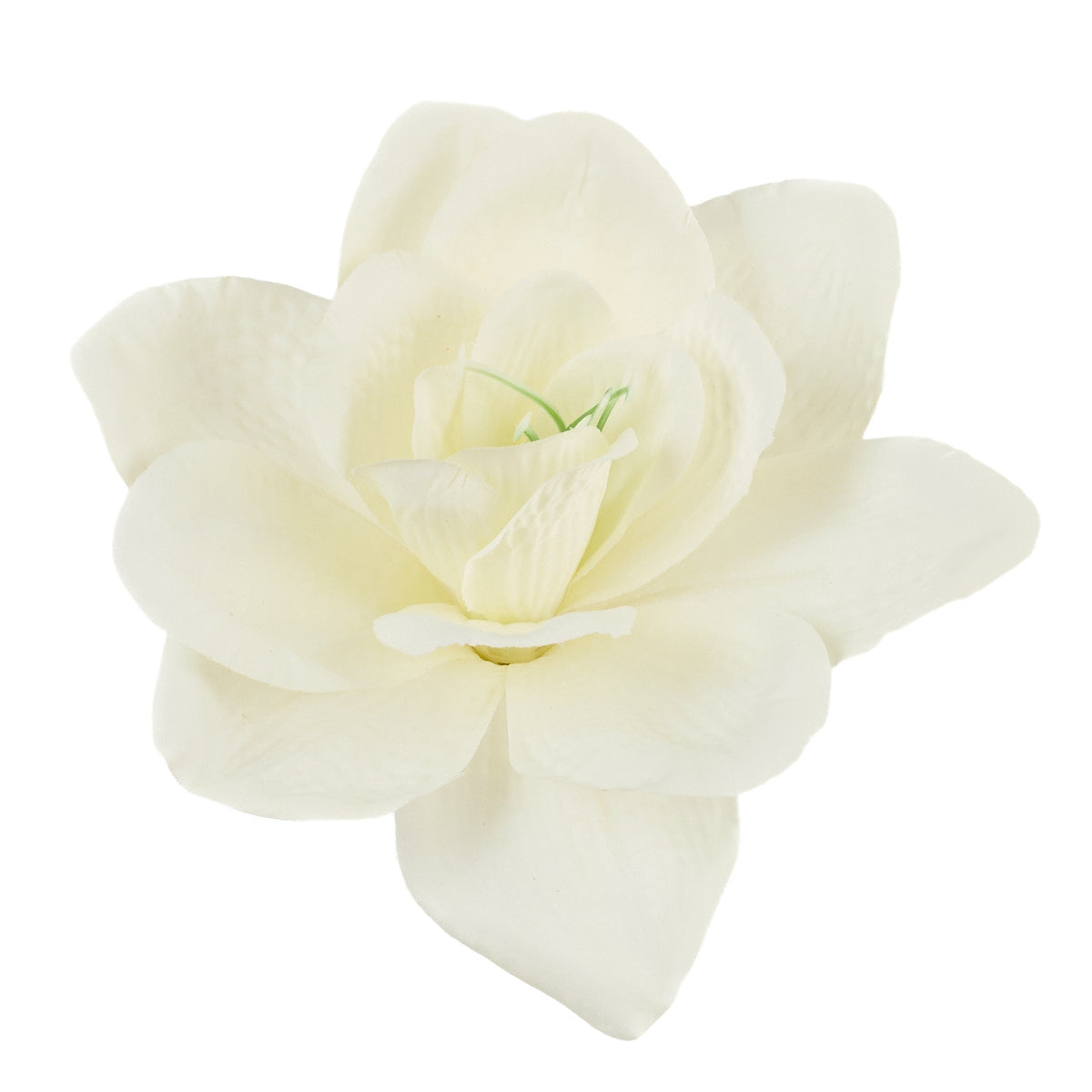 Amaryllis – tekokukkapää, 16 cm