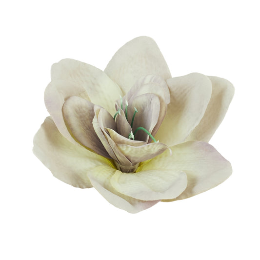 Amaryllis – tekokukkapää, 16 cm