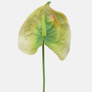 Roheline