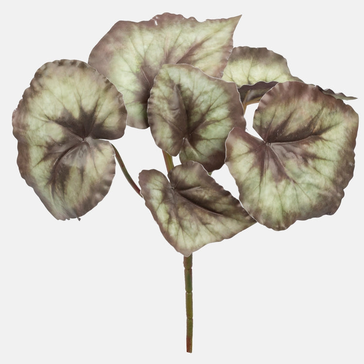 Begoonia kunsttaim oks roheline 30 cm - Kunstlilled