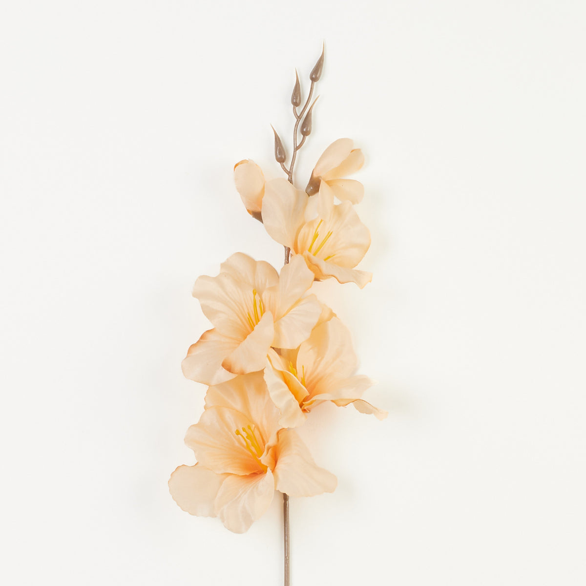 Beige gladiolus – tekokukka, satiini, 12 kpl