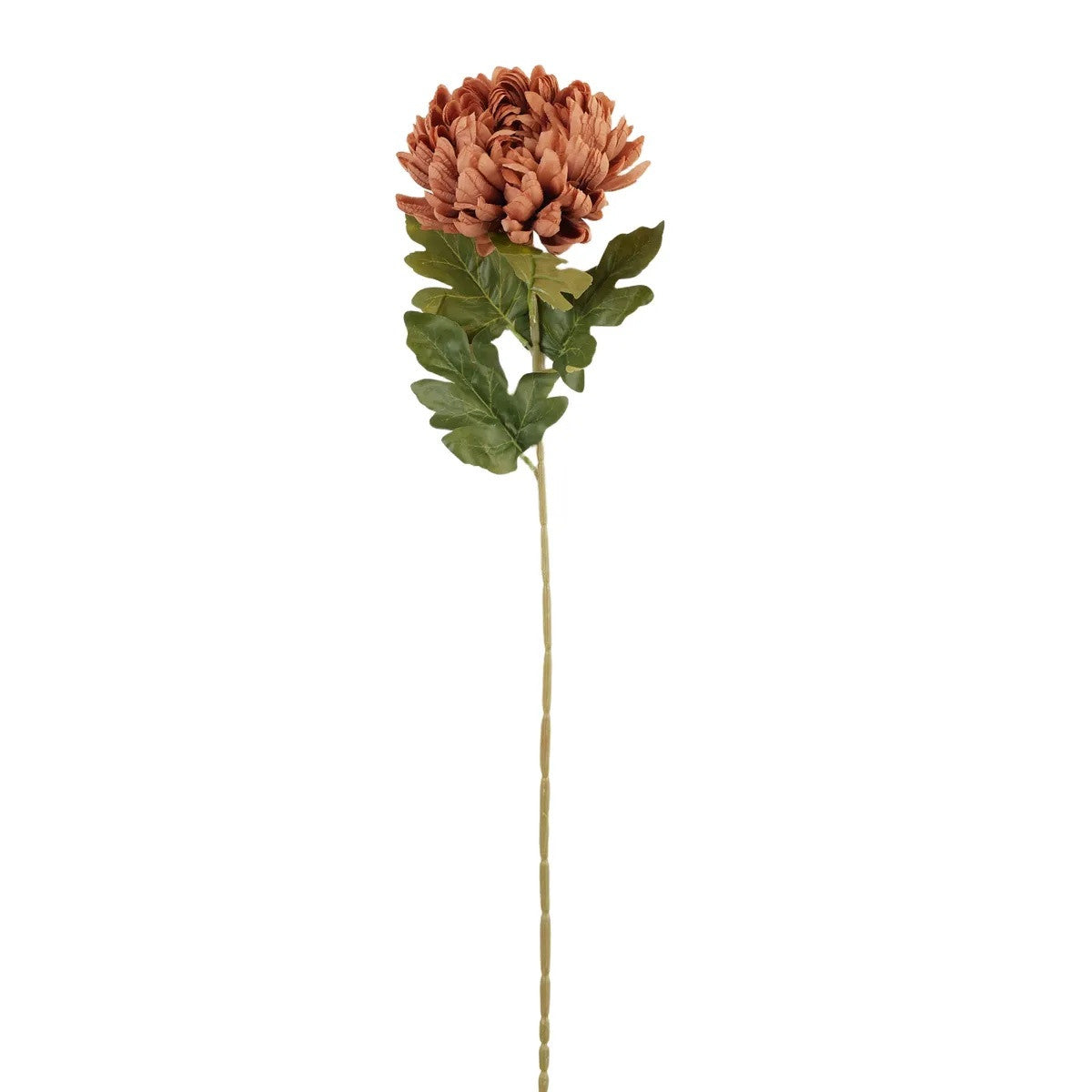 Beige tekokrysanteemin kukkavarsi, 75 cm