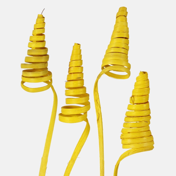 Kollane roo-käbi kuivatatud dekoratiivoks 22–30 cm - Kunstlilled