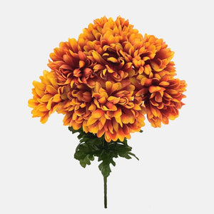 Oranž/kollane
